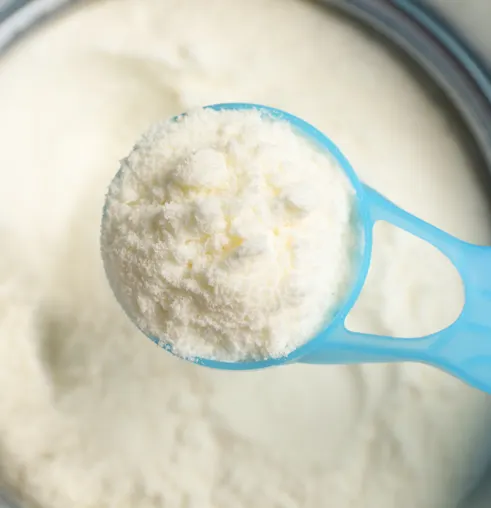 Premium Skimmed Milk Powder